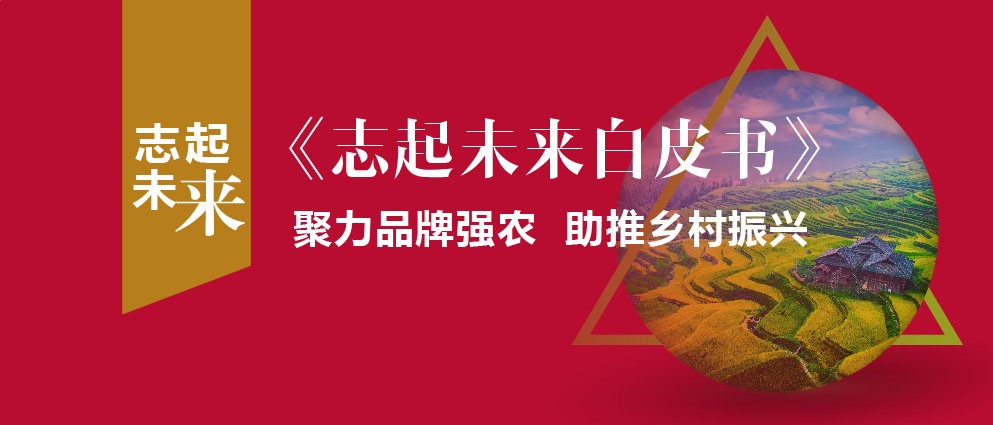 志起未來(lái)客戶:為何同福集團(tuán)能成為鄉(xiāng)村振興的典范？