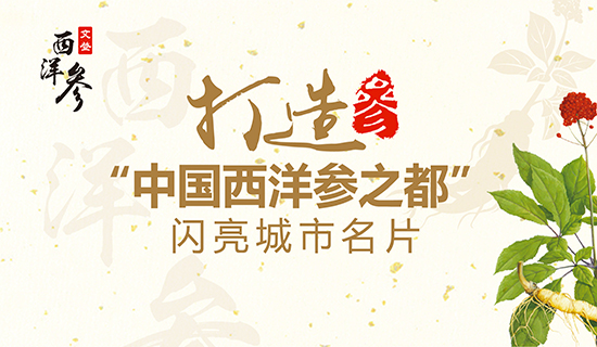 文登西洋參產(chǎn)業(yè)：打造“中國(guó)西洋參之都”閃亮城市名片！
